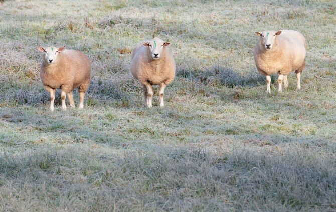 Wetter in Baden-Württemberg