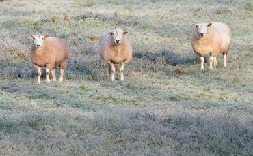Wetter in Baden-Württemberg