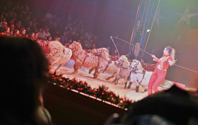 Weihnachtscircus