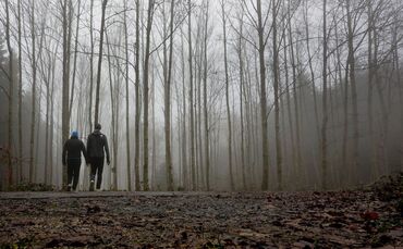 Wetter in Baden-Württemberg