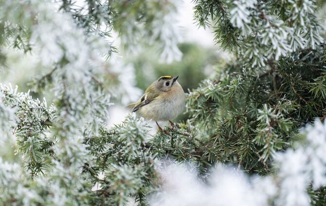 Wetter in Baden-Württemberg
