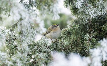 Wetter in Baden-Württemberg