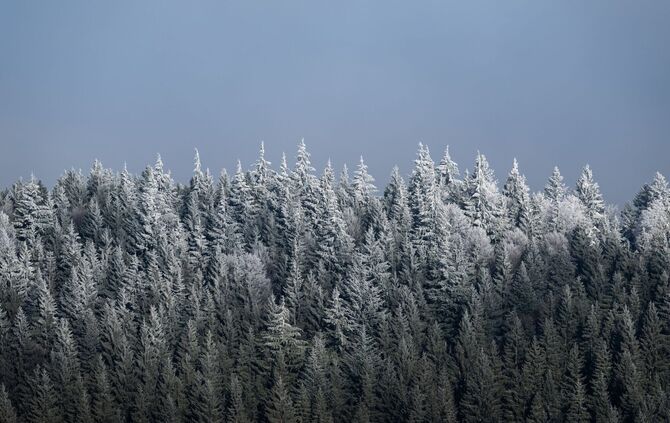 Wetter in Baden-Württemberg