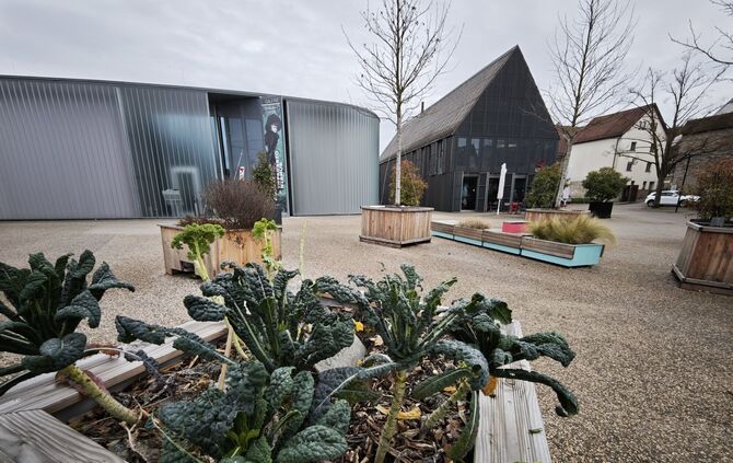 Eva-Mayr-Stihl-Platz