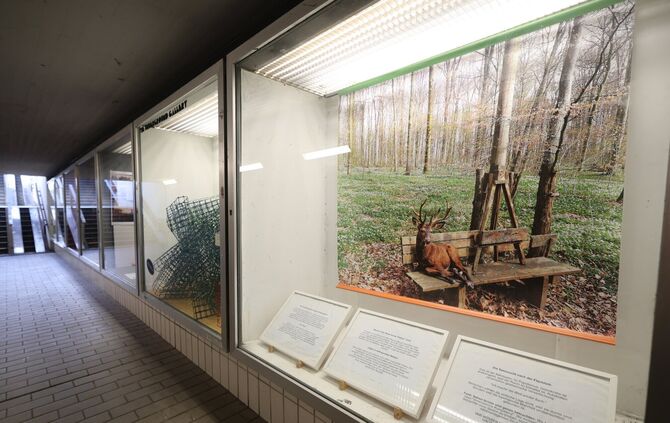 Ausstellung  Kronenplatzunterführung