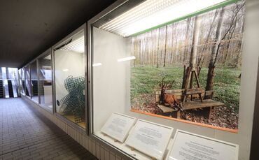 Ausstellung  Kronenplatzunterführung