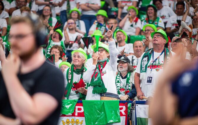 Fanclub der Füchse Berlin