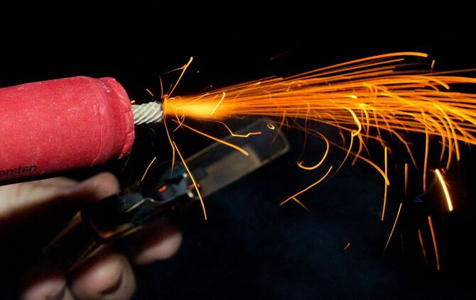 Silvester-Böllerei lässt Tiere leiden