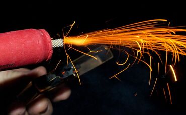 Silvester-Böllerei lässt Tiere leiden