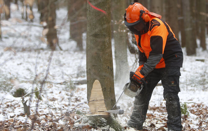 Motorsägen-Frauen - 1