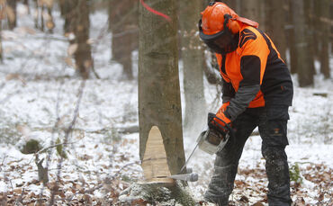 Motorsägen-Frauen - 1