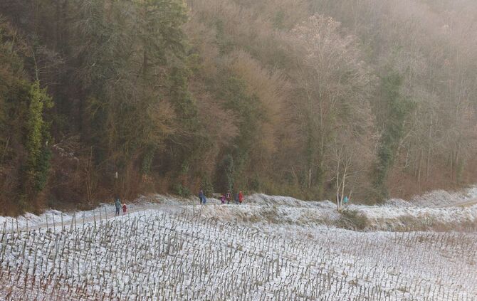 Neujahr in Baden-Württemberg - Wetter