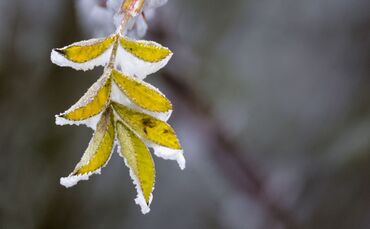 Wetter in Baden-Württemberg
