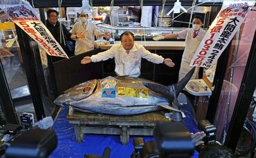 Erste Thunfischauktion des Jahres in Tokio