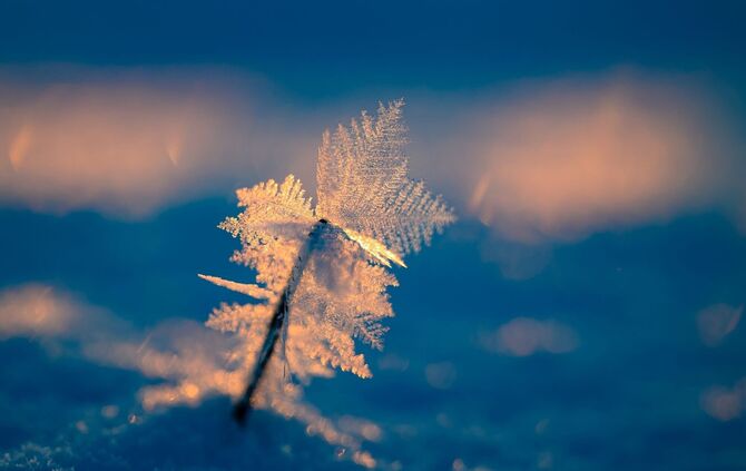 Eisiger Wintermorgen