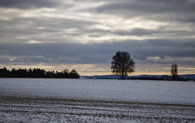 winter wetter schnee