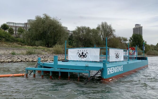 Müllfalle Rheinkrake