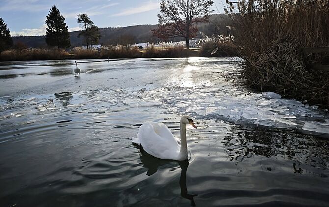 Plüderhäuser Badesee zugefroren