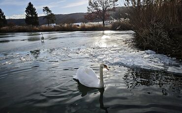 Plüderhäuser Badesee zugefroren