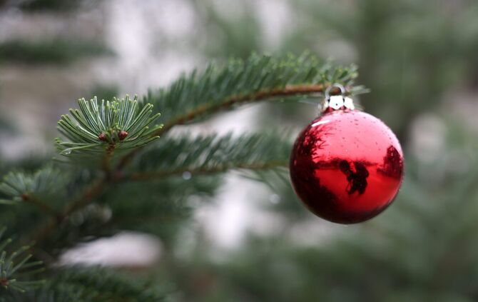 Weihnachtsbaum Christbaum Weihnachten Symbol Symbolfoto