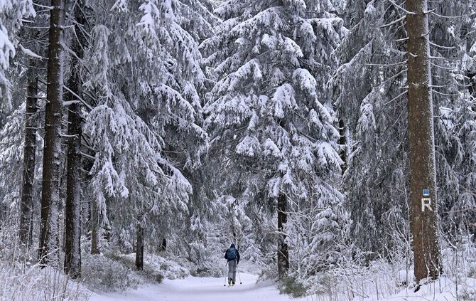 Gera: Warnung vor umstürzenden Bäumen und abbrechenden Ästen