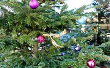 Zur Abholung den Christbaum bitte abschmücken.