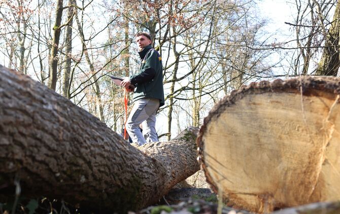 Revierförster Kilian Knötzele bei der Brennholzversteigerung im vergangenen Jahr.