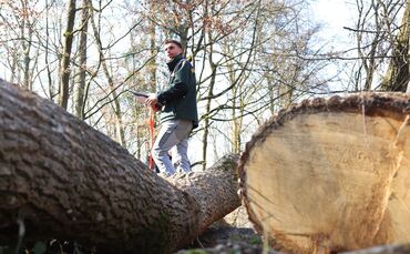 Revierförster Kilian Knötzele bei der Brennholzversteigerung im vergangenen Jahr.