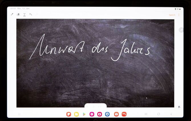 Jury gibt «Unwort des Jahres» bekannt