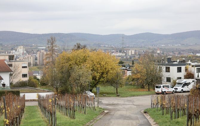 Das Wohngebiet "In den Hauern" am Ortsrand von Großheppach.