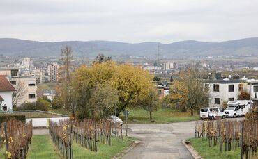 Das Wohngebiet "In den Hauern" am Ortsrand von Großheppach.
