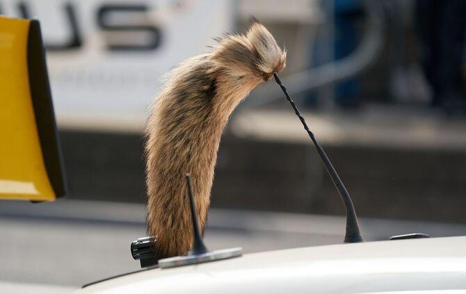 Kult-Opel kommt vorerst nicht zurück