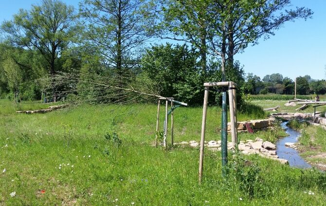 Vandalismus Zehntbach