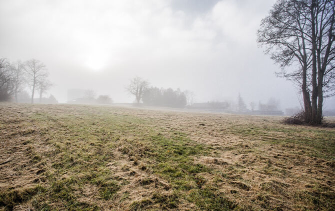 Die Grunbacher Höhe ist noch unbebauut. Die Baufenster 1 und 2 von der Goethestraße mit Blick in Richtung Süden. Hier würde der