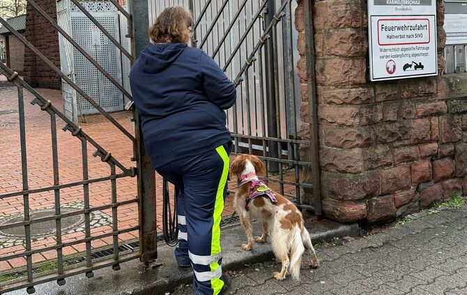 Suche nach achtjährigem Jungen in Frankfurt
