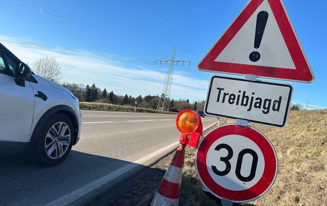 Eine Treibjagd sorgt für Einschränkungen im Straßenverkehr.