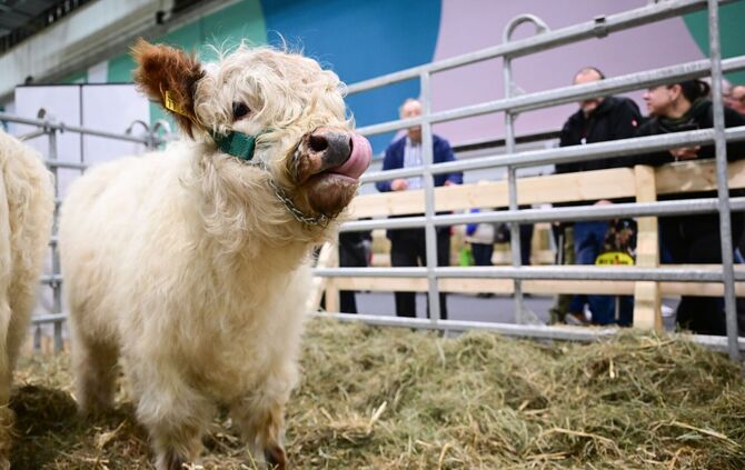90. Grüne Woche Berlin - Eröffnungstag