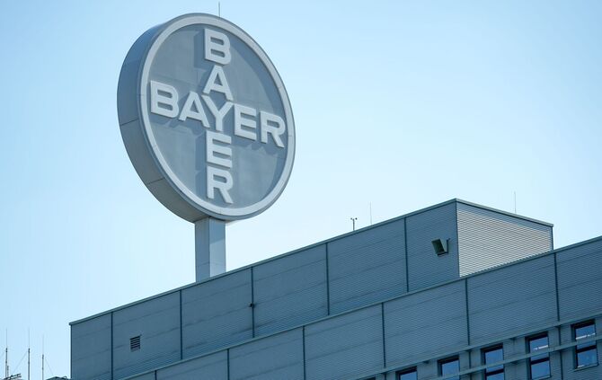 Bayer