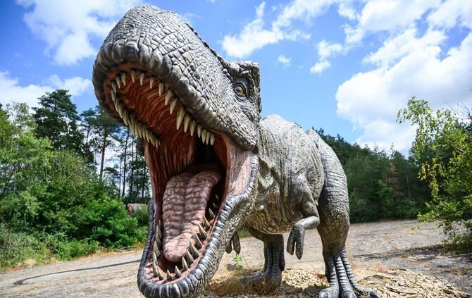 Auch ein Top-Predator fängt klein an: T. rex war ein Spätzünder