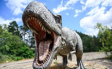 Auch ein Top-Predator fängt klein an: T. rex war ein Spätzünder