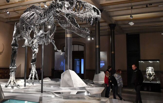 Auch ein Top-Predator fängt klein an: T. rex war ein Spätzünder