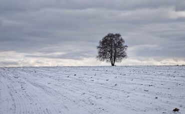 Es wird wieder kälter im Rems-Murr-Kreis. (Symbolfoto)
