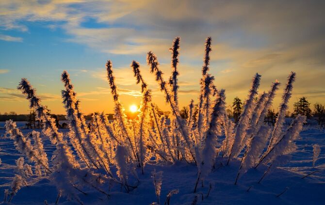Sonne und kalte Luft erwarten die Meteorologen zum Wochenbeginn. (Archivbild)