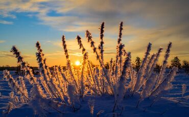 Sonne und kalte Luft erwarten die Meteorologen zum Wochenbeginn. (Archivbild)