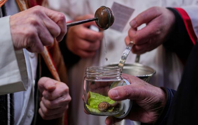 Tiersegnung in Madrid