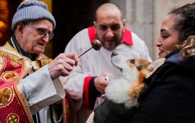 Tiersegnung in Madrid