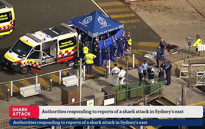 Nach einem mutmaßlichen Haiangriff ist ein Junge in kritischem Zustand.