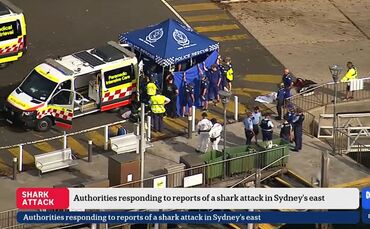 Nach einem mutmaßlichen Haiangriff ist ein Junge in kritischem Zustand.