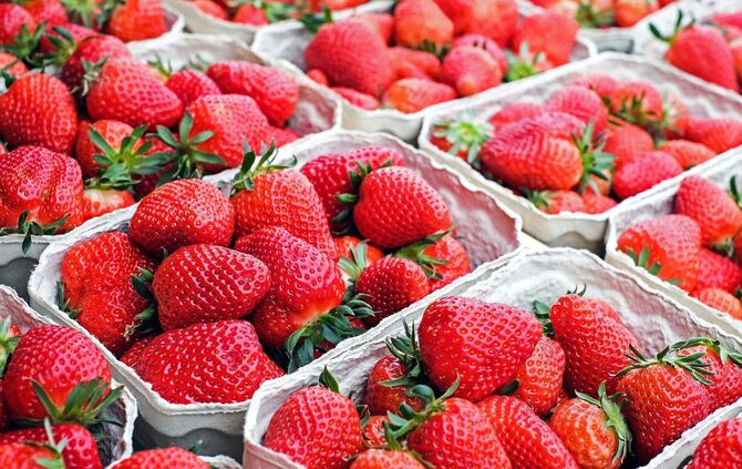 Erdbeeren in Verkaufsschalen. Symbolbild.