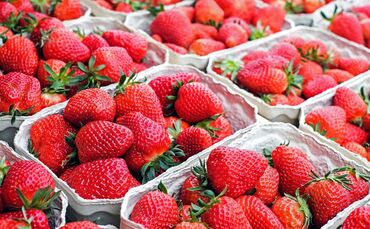 Erdbeeren in Verkaufsschalen. Symbolbild.